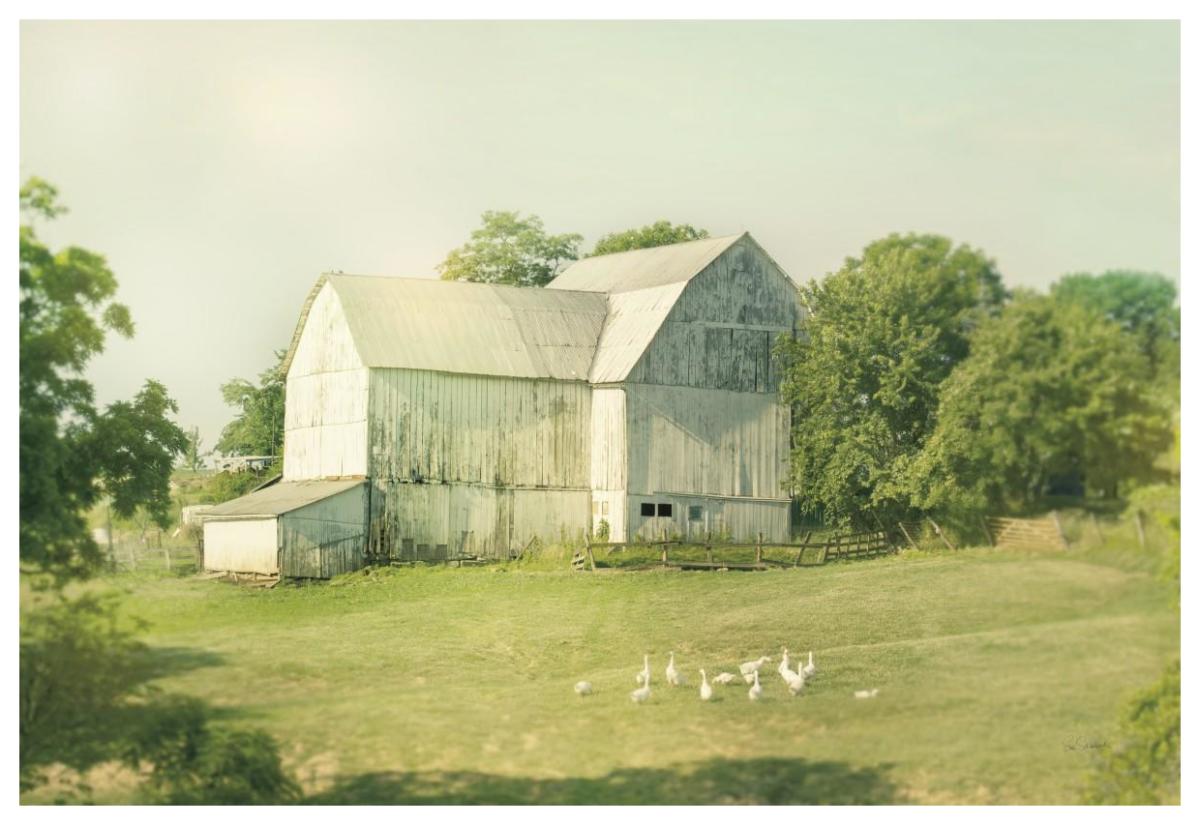 Farm Morning III -Paper Art-62"x42"