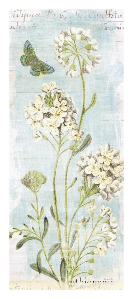 Botany Blue II -Paper Art-14"x32"