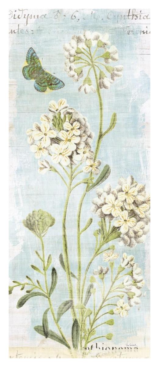 Botany Blue II -Paper Art-18"x42"