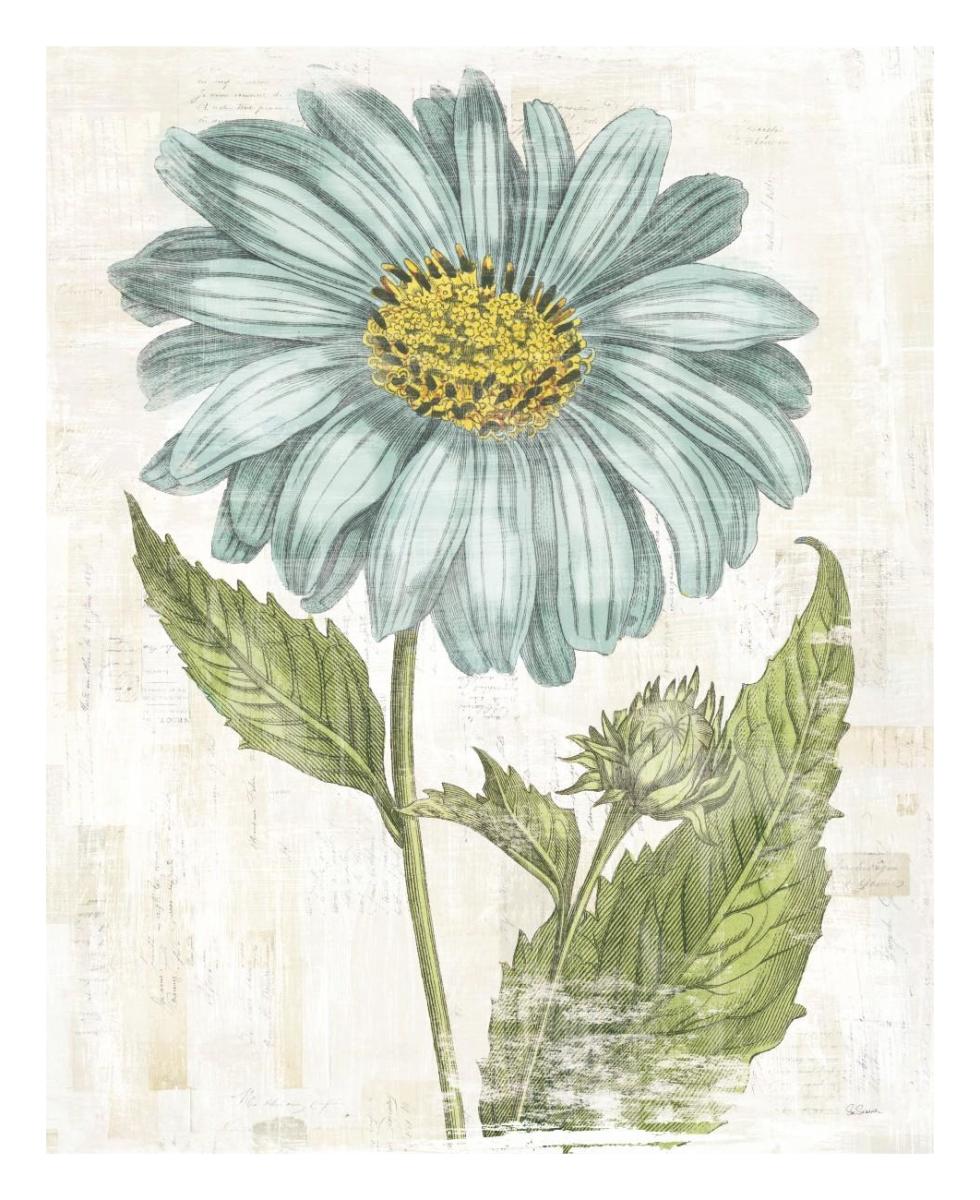 Bloemen Boek II -Paper Art-22"x26"