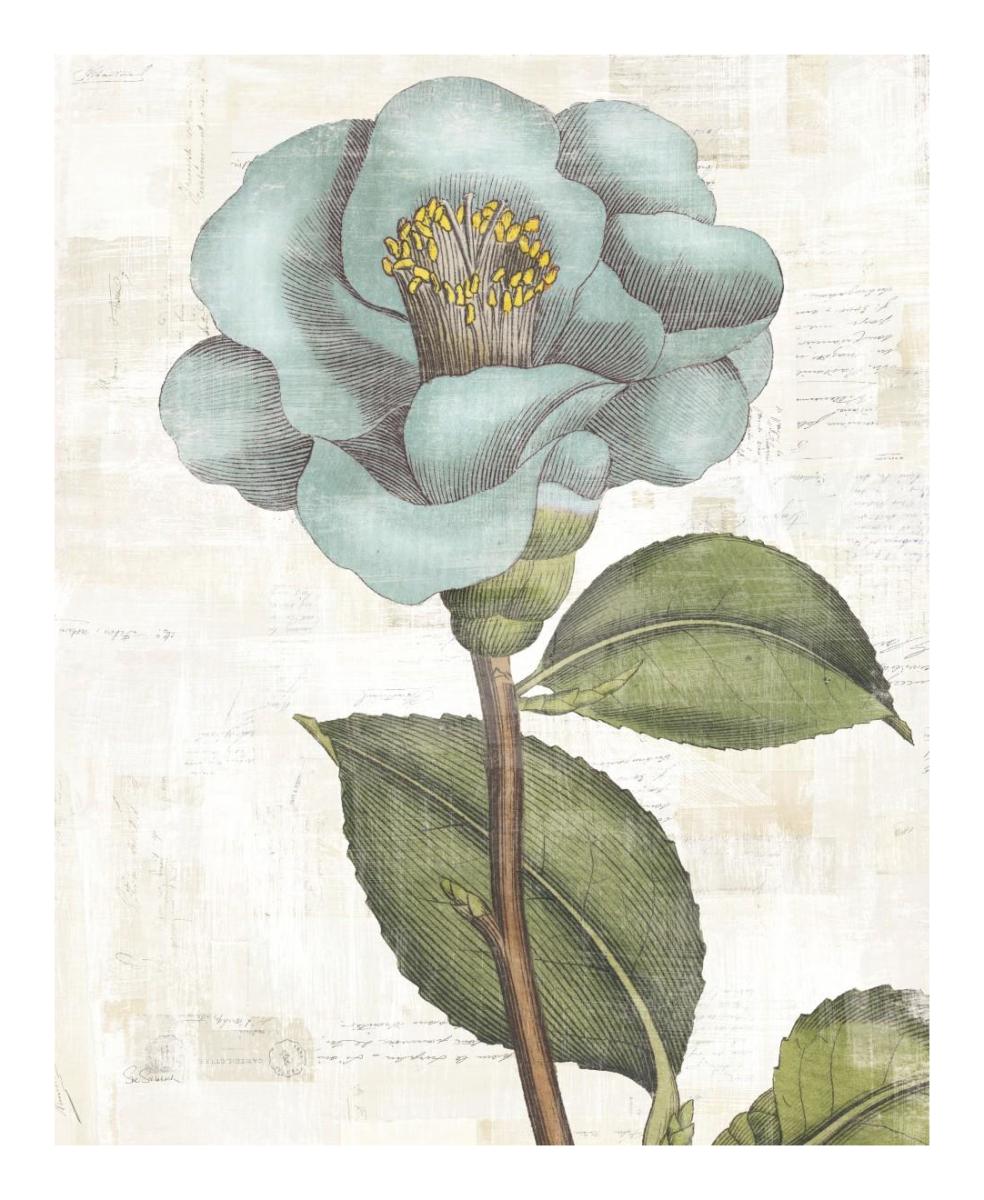 Bloemen Boek V -Paper Art-18"x22"