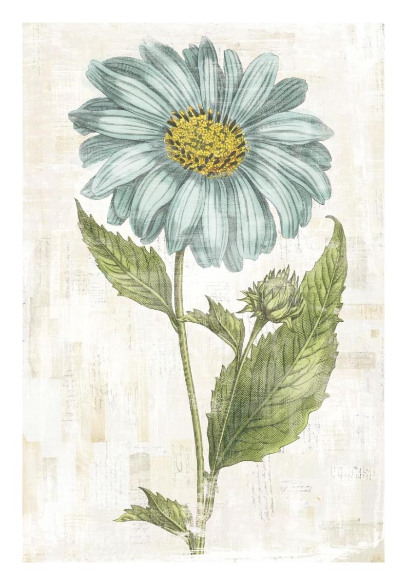 Bloemen Boek VI -Paper Art-18"x26"