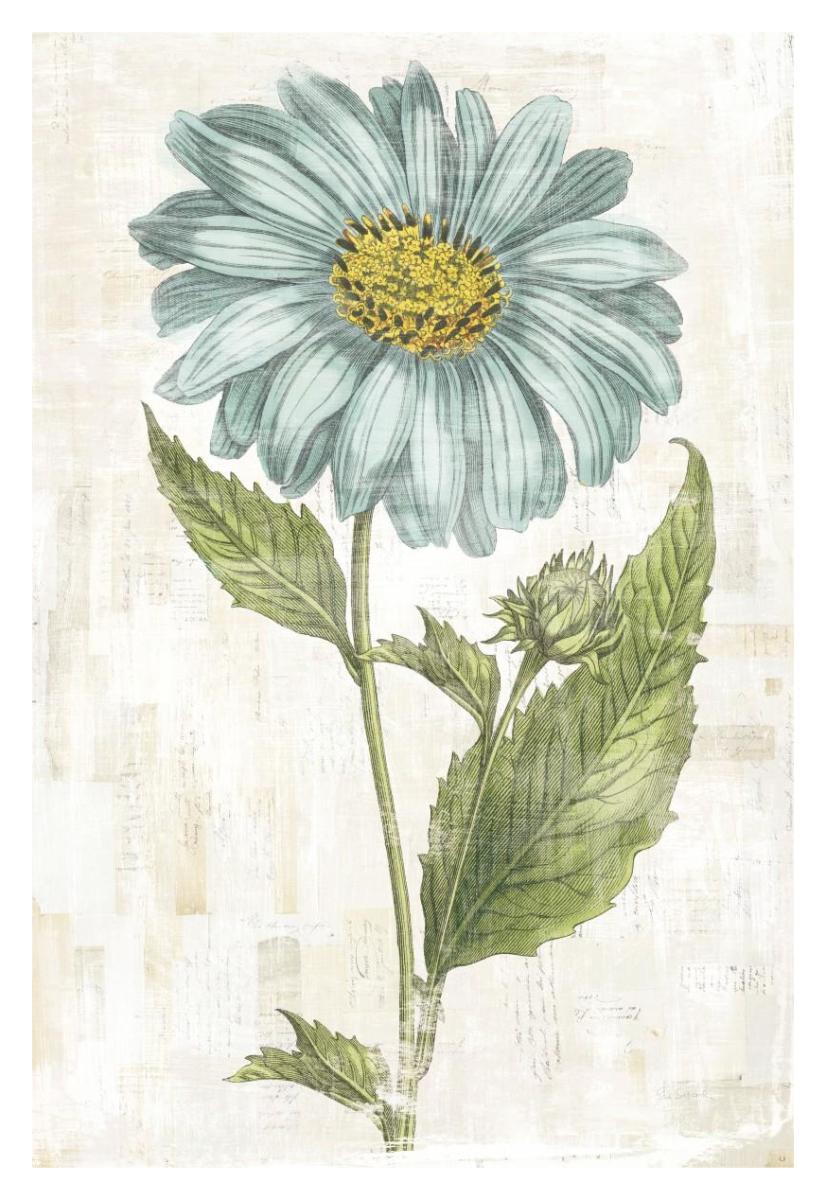 Bloemen Boek VI -Paper Art-26"x38"