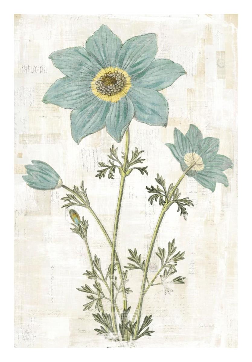Bloemen Boek VII -Paper Art-18"x26"