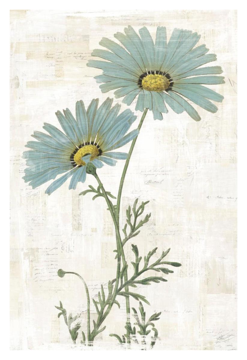 Bloemen Boek VIII -Paper Art-26"x38"