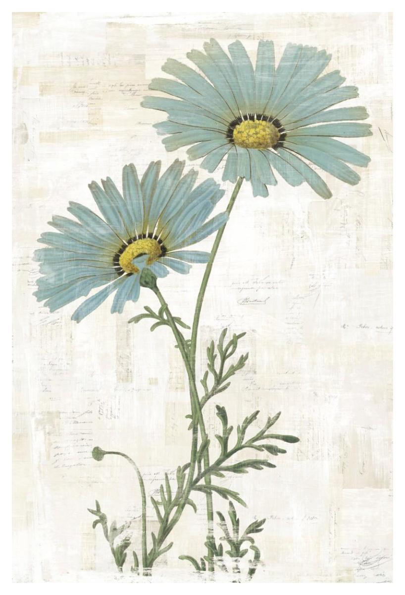 Bloemen Boek VIII -Paper Art-34"x50"