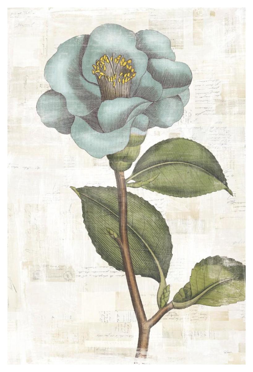 Bloemen Boek IX -Paper Art-34"x50"