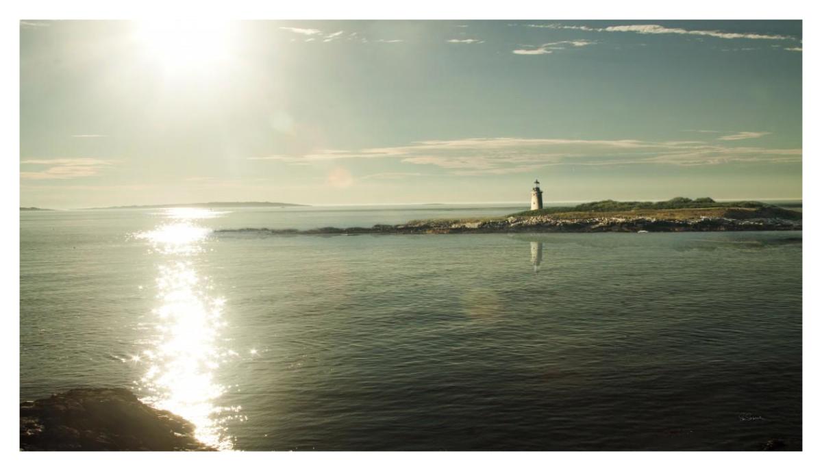 Lighthouse Sound -Paper Art-42"x24"