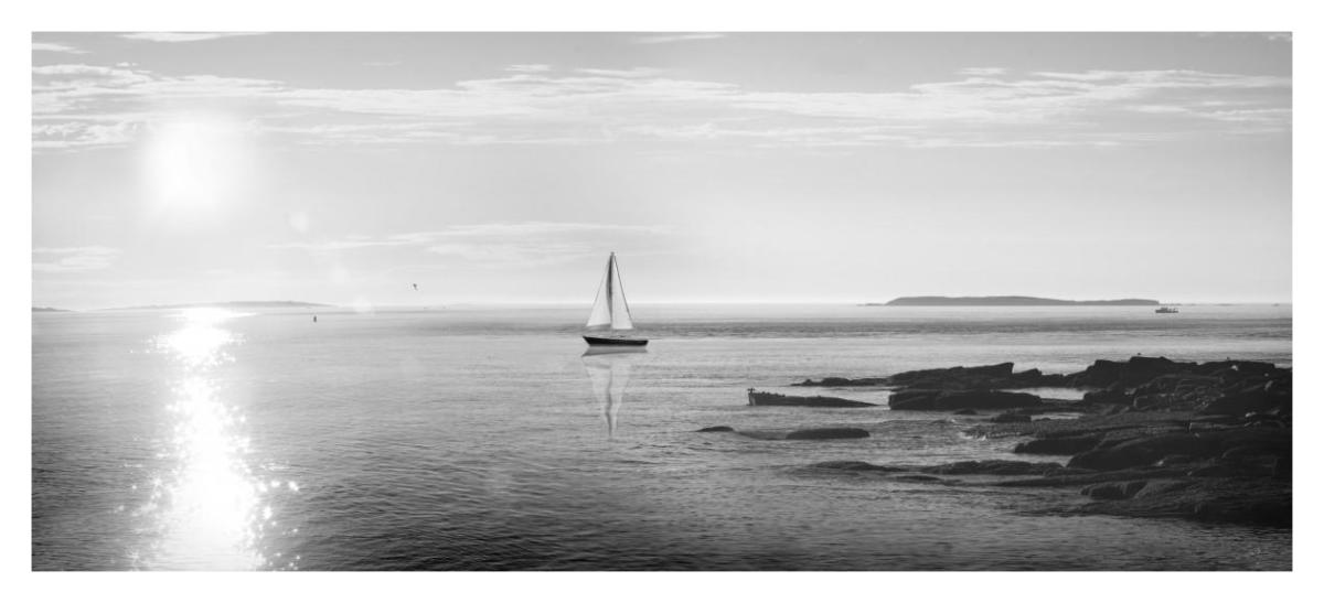 Evening Sail Black and White -Paper Art-42"x19.2"