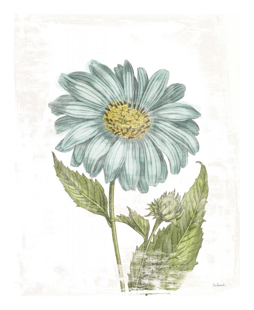 Bloemen Boek II on White -Paper Art-18"x22"