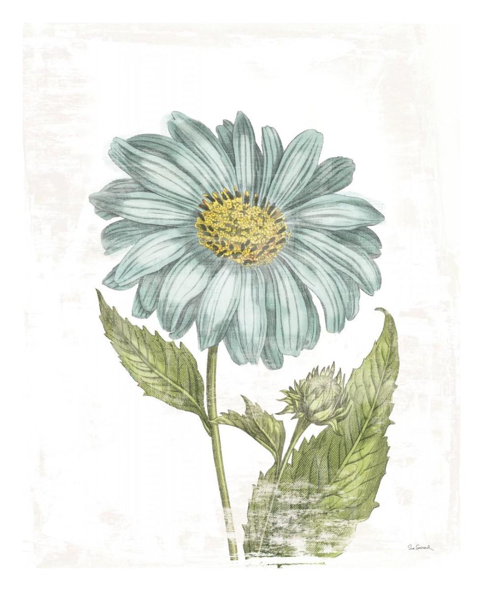 Bloemen Boek II on White -Paper Art-22"x26"