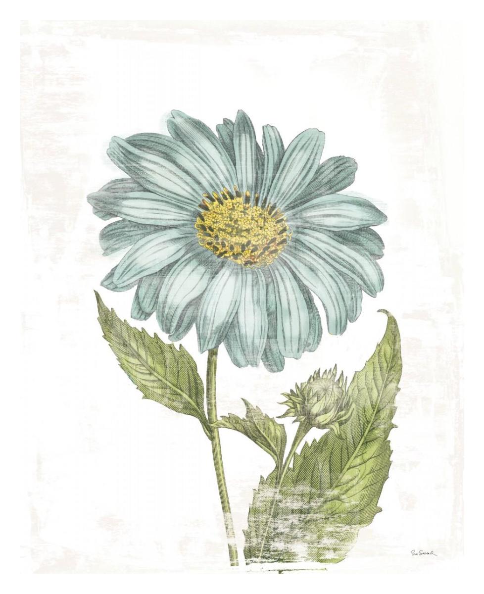 Bloemen Boek II on White -Paper Art-24"x30"