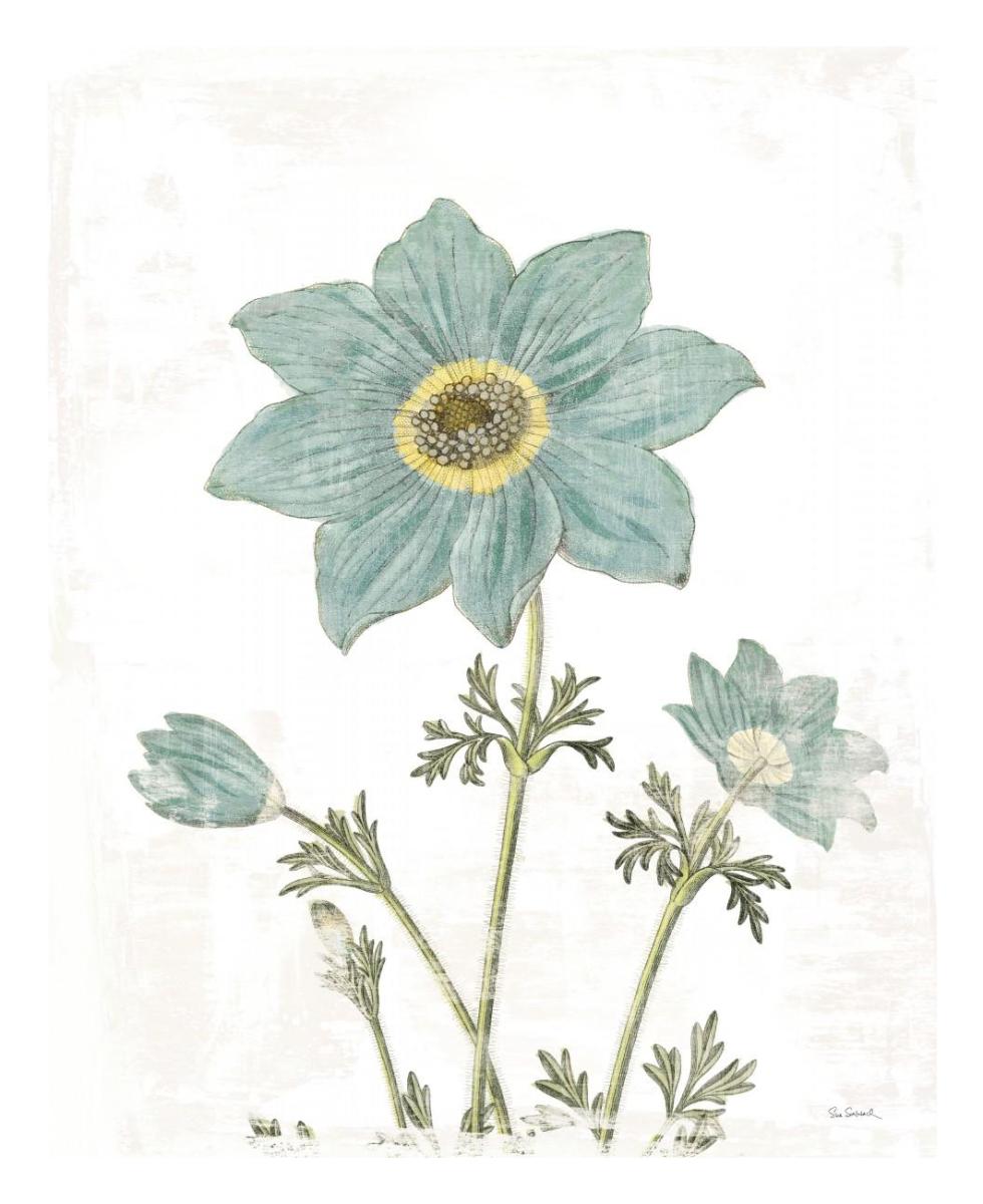 Bloemen Boek III on White -Paper Art-22"x26"