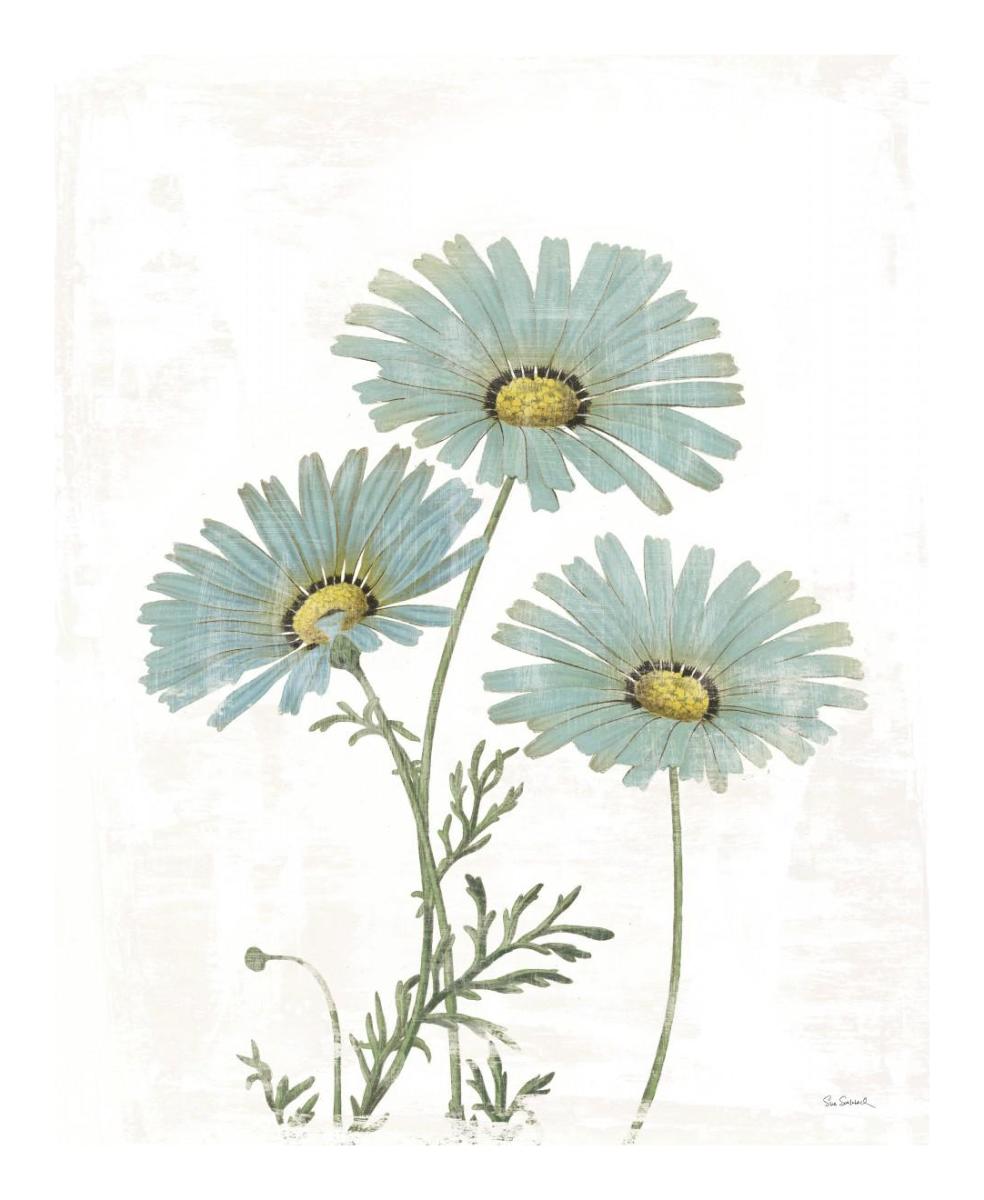 Bloemen Boek IV on White -Paper Art-18"x22"