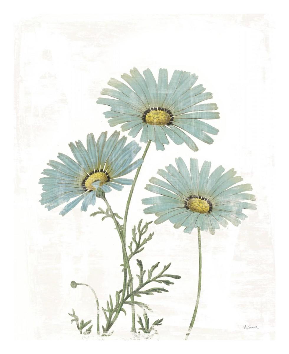 Bloemen Boek IV on White -Paper Art-22"x26"