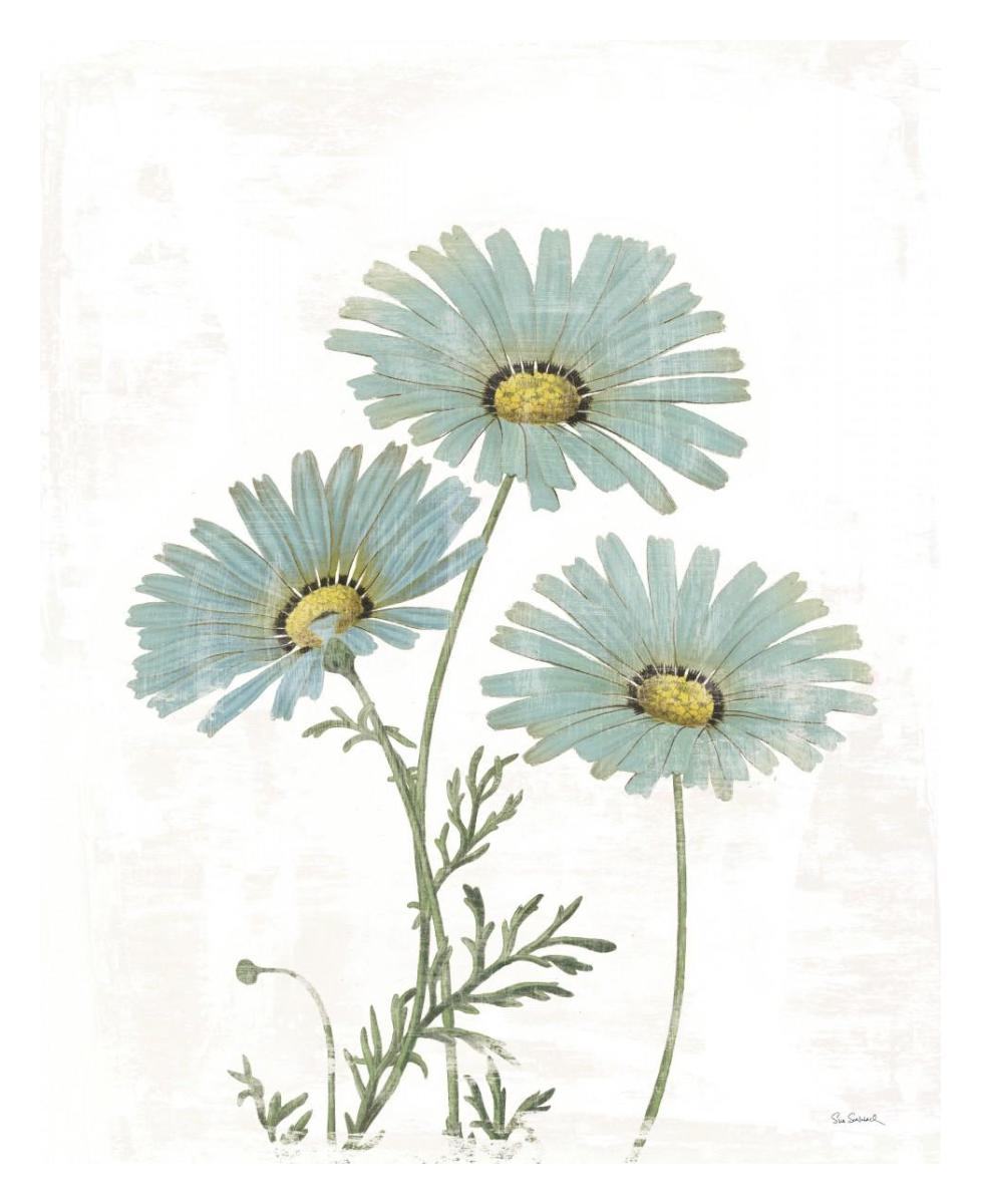 Bloemen Boek IV on White -Paper Art-24"x30"