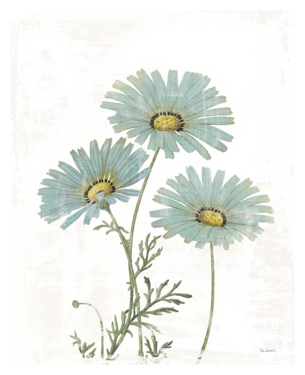 Bloemen Boek IV on White -Paper Art-30"x37"