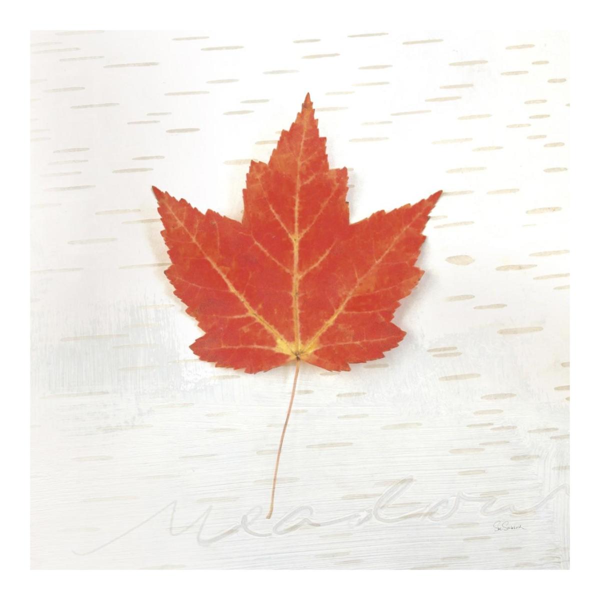 Autumn Colors I -Paper Art-20"x20"