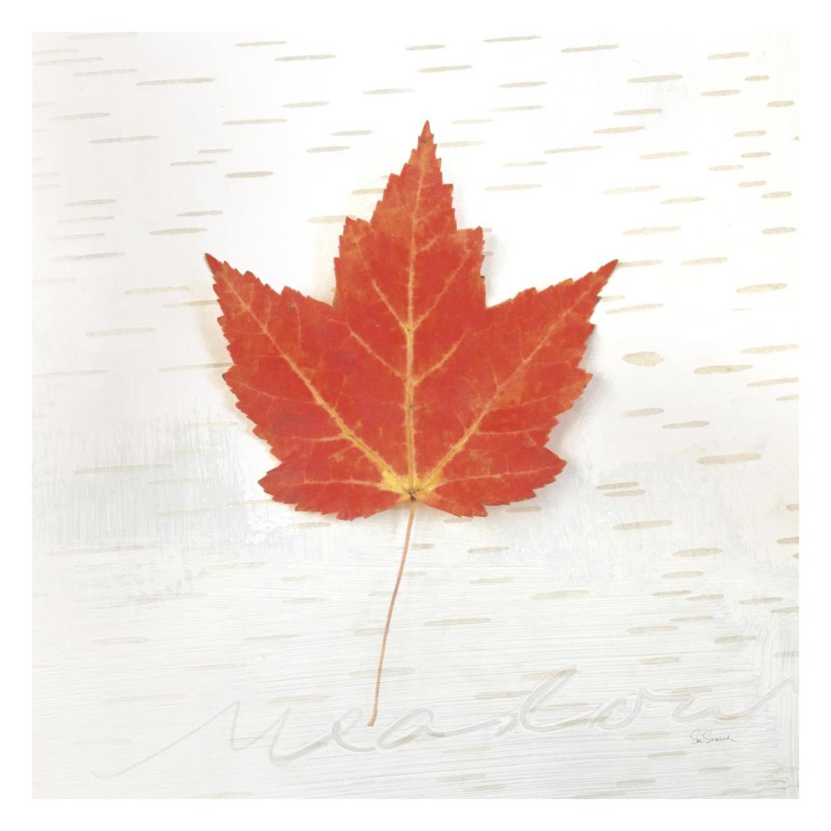 Autumn Colors I -Paper Art-26"x26"