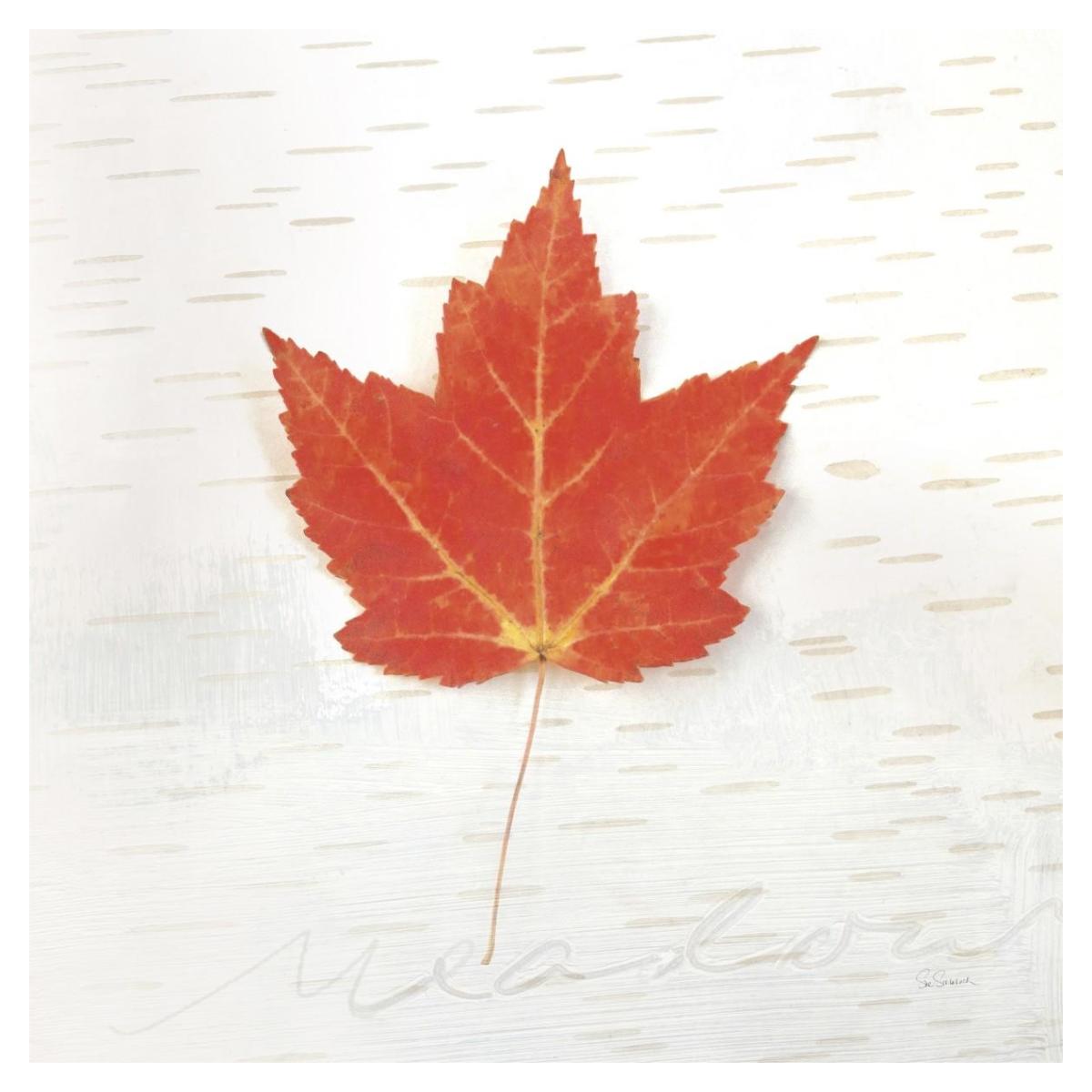 Autumn Colors I -Paper Art-38"x38"