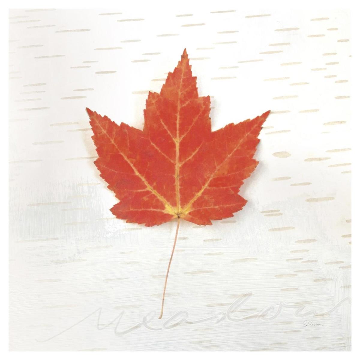 Autumn Colors I -Paper Art-42"x42"