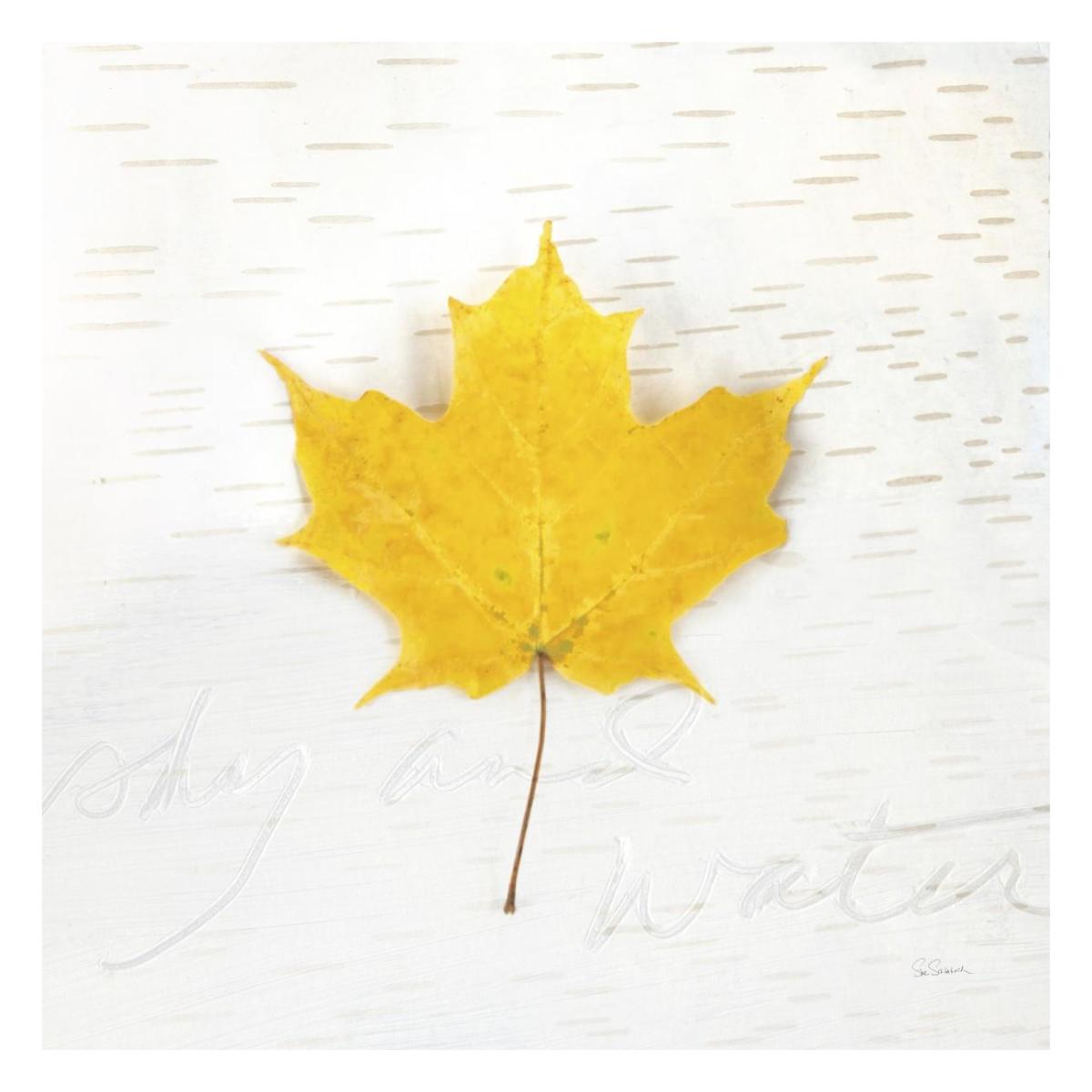 Autumn Colors II -Paper Art-26"x26"