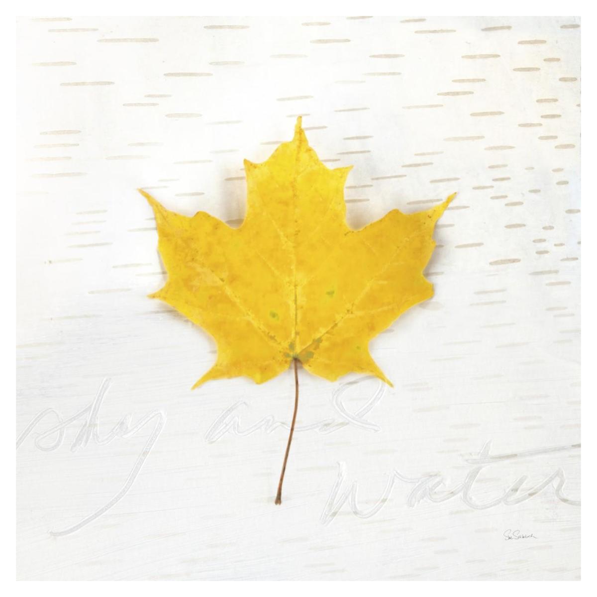 Autumn Colors II -Paper Art-38"x38"