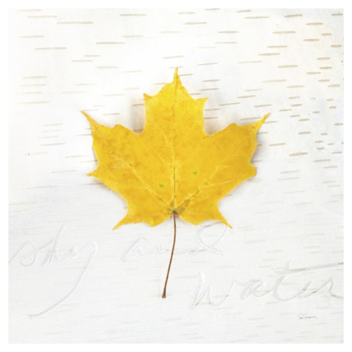 Autumn Colors II -Paper Art-42"x42"
