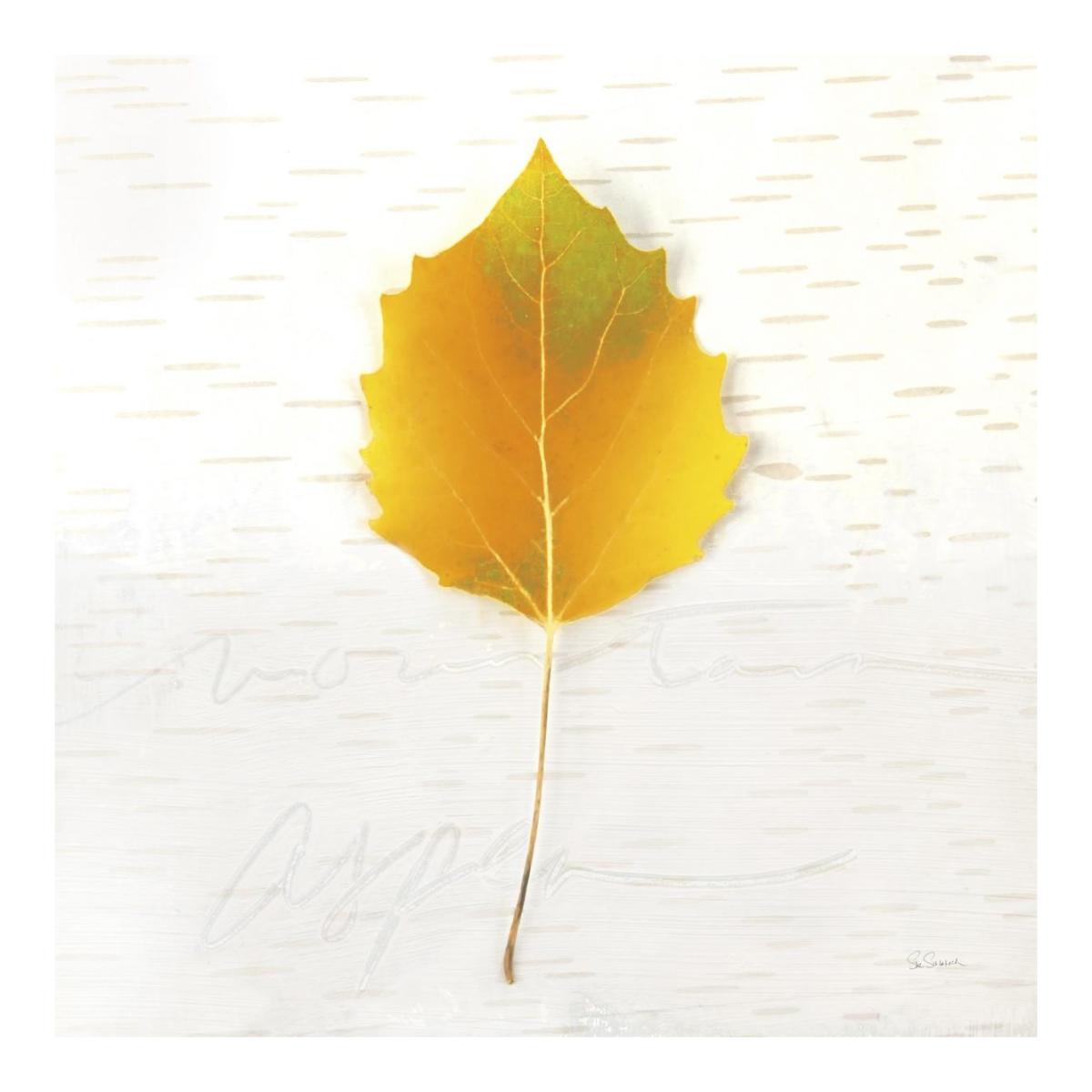 Autumn Colors III -Paper Art-20"x20"
