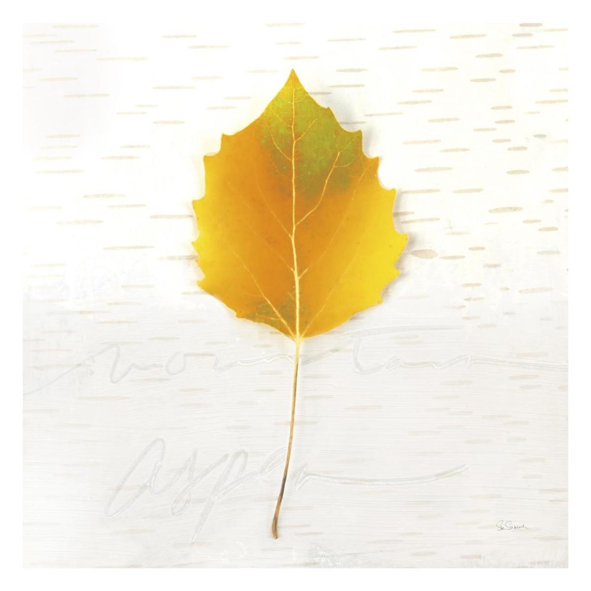 Autumn Colors III -Paper Art-26"x26"