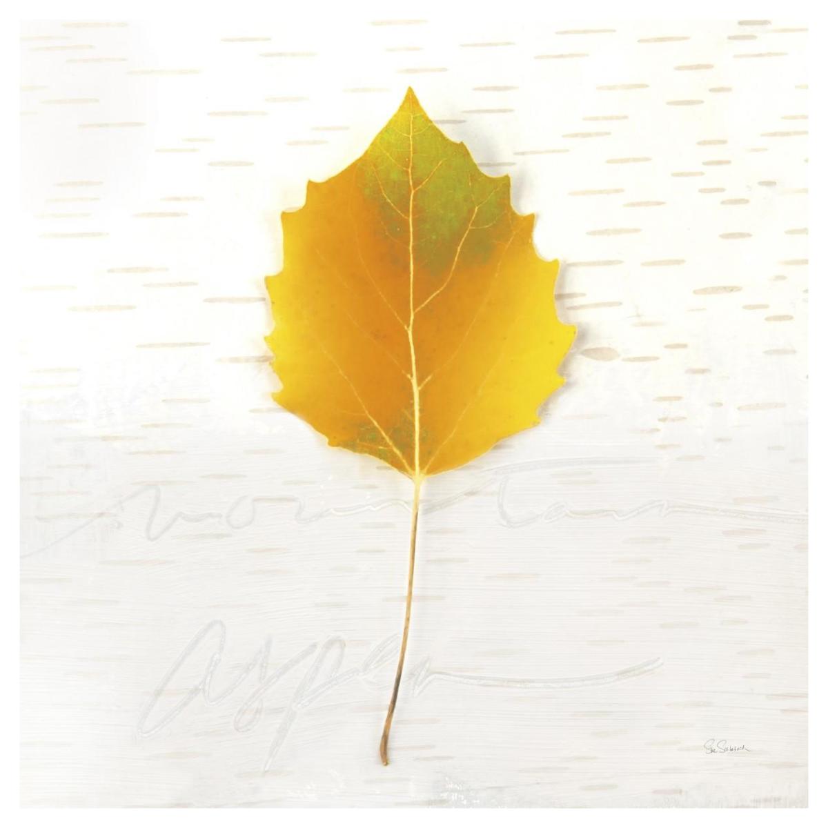 Autumn Colors III -Paper Art-42"x42"
