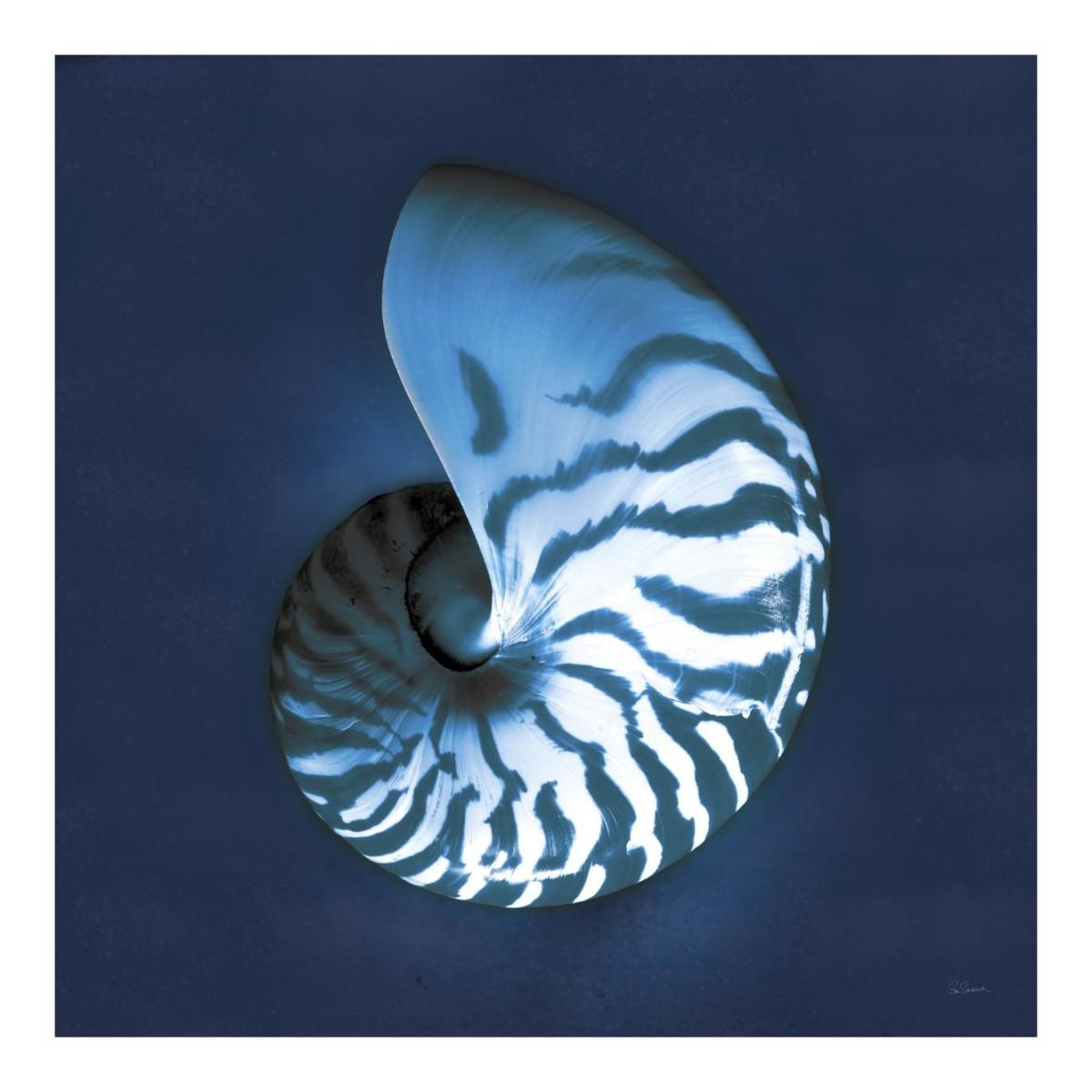 Cyanotype Sea I -Paper Art-20"x20"
