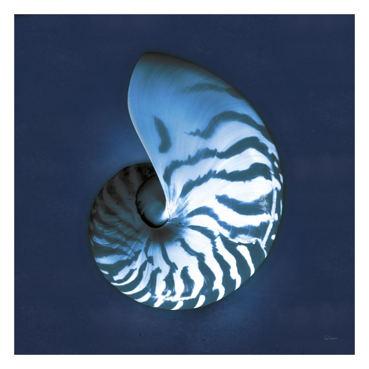 Cyanotype Sea I -Paper Art-26"x26"