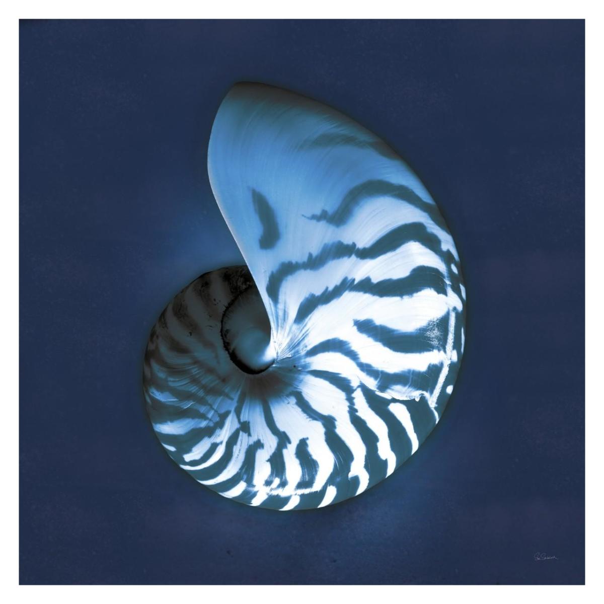 Cyanotype Sea I -Paper Art-32"x32"