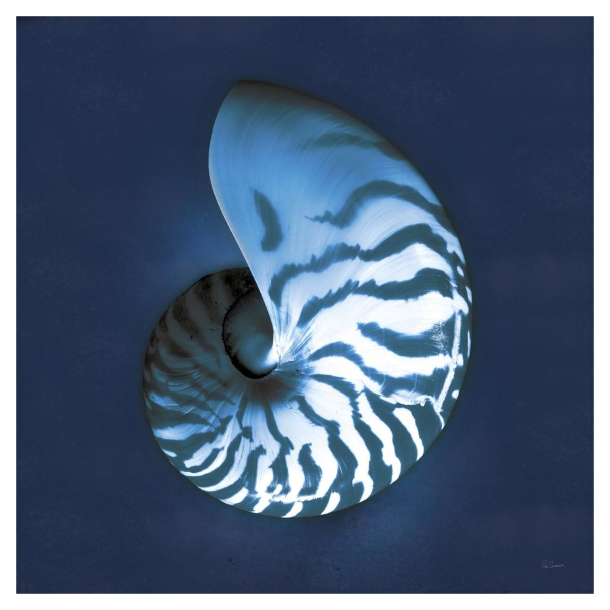Cyanotype Sea I -Paper Art-38"x38"