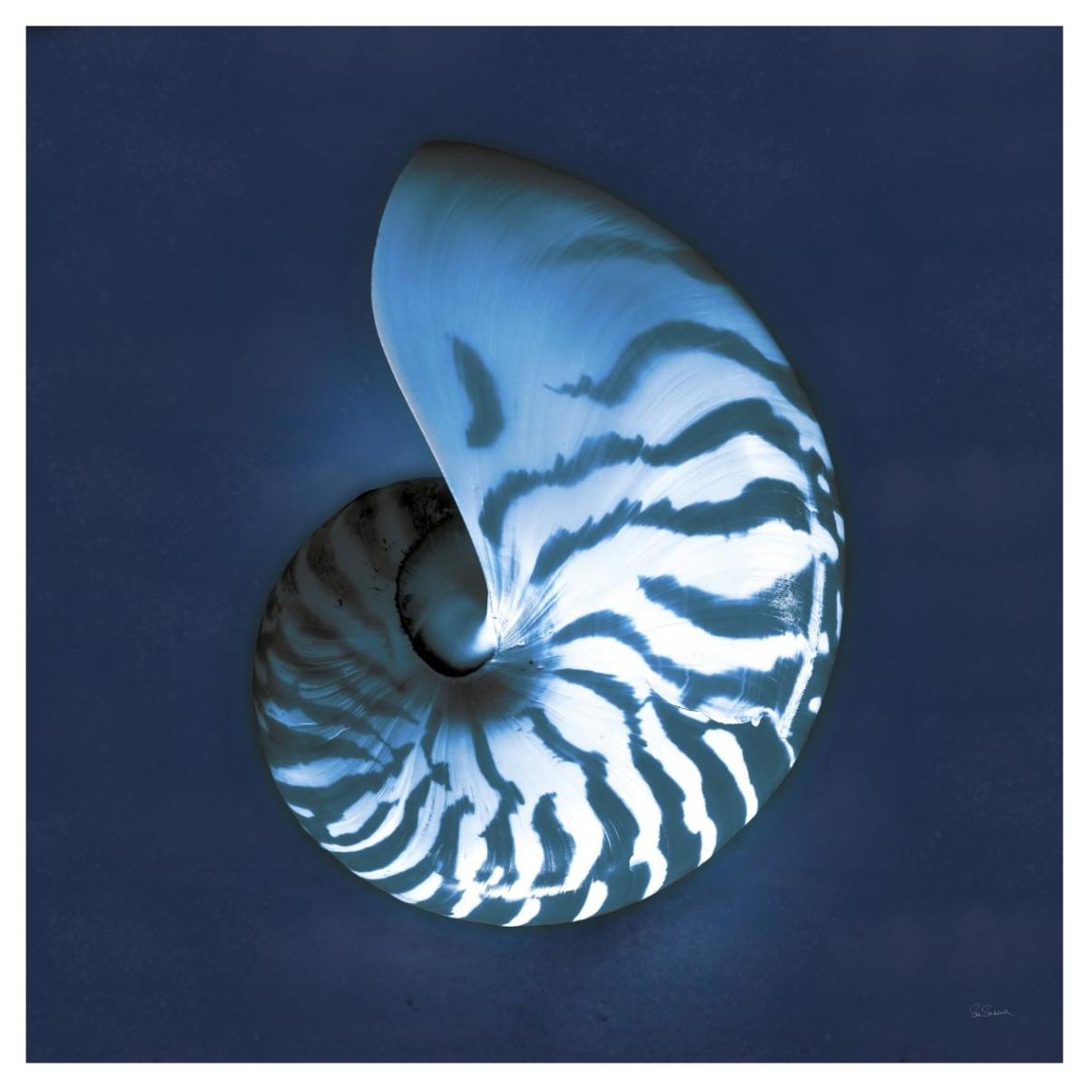 Cyanotype Sea I -Paper Art-42"x42"