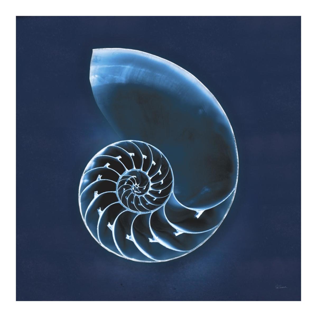 Cyanotype Sea II -Paper Art-20"x20"