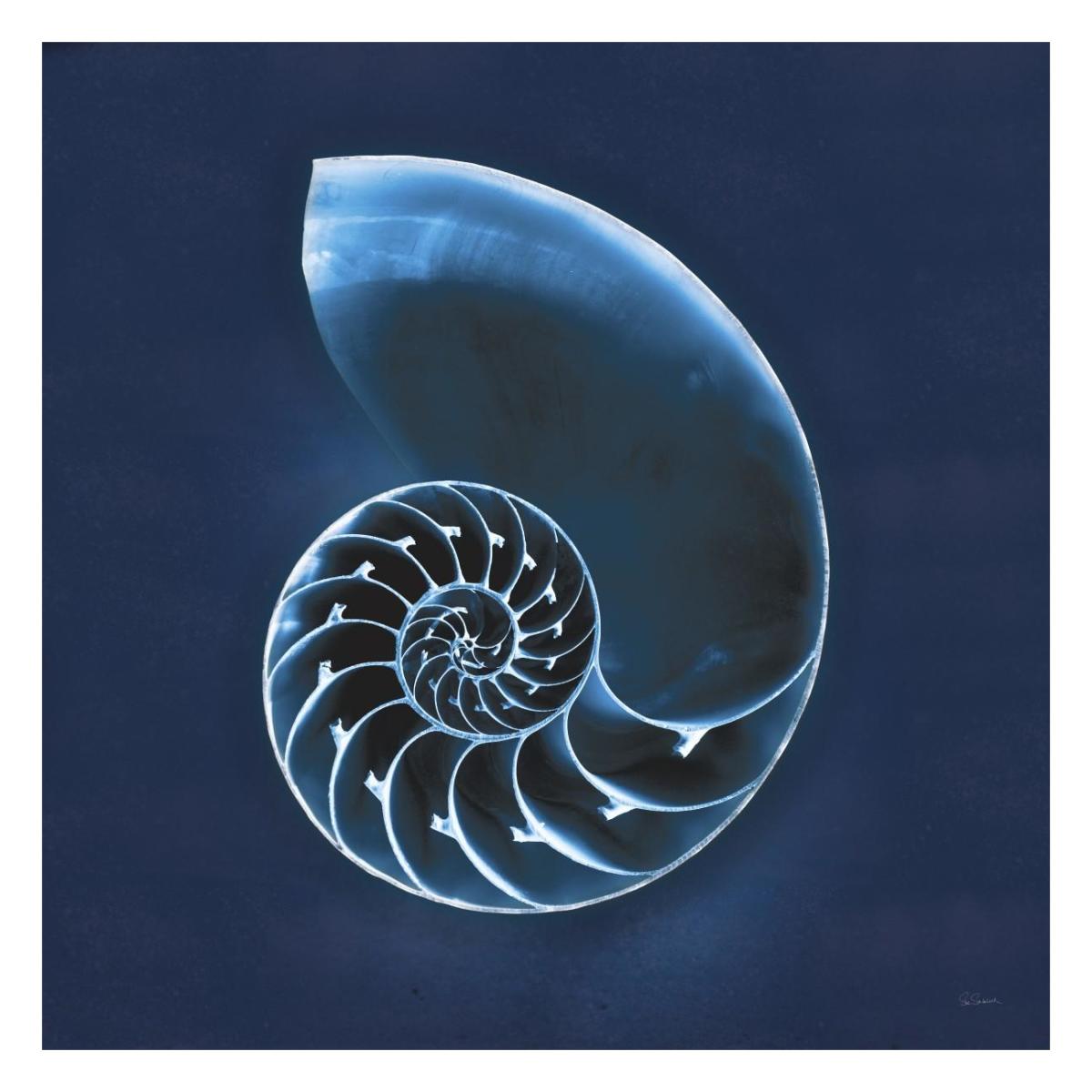 Cyanotype Sea II -Paper Art-26"x26"