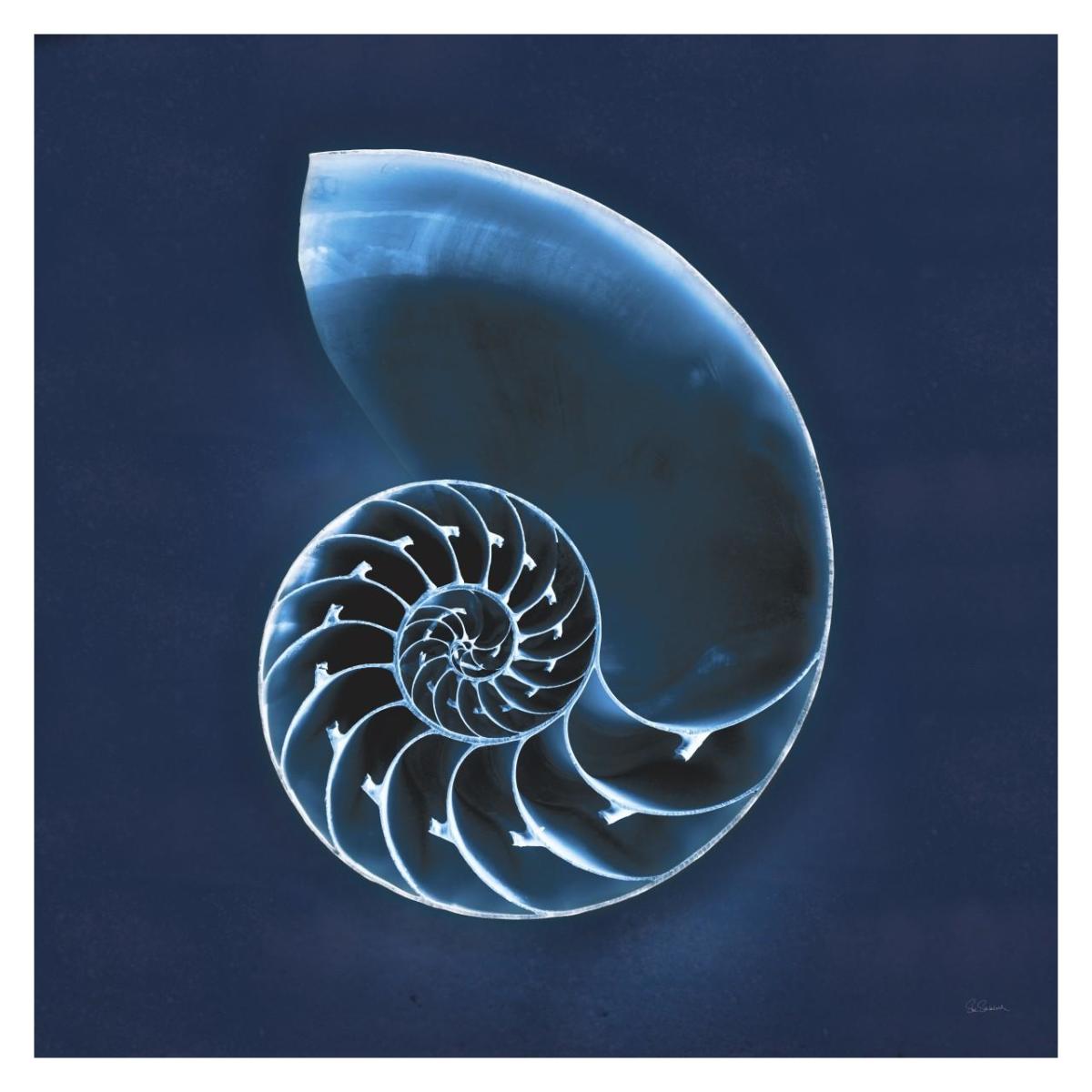 Cyanotype Sea II -Paper Art-32"x32"