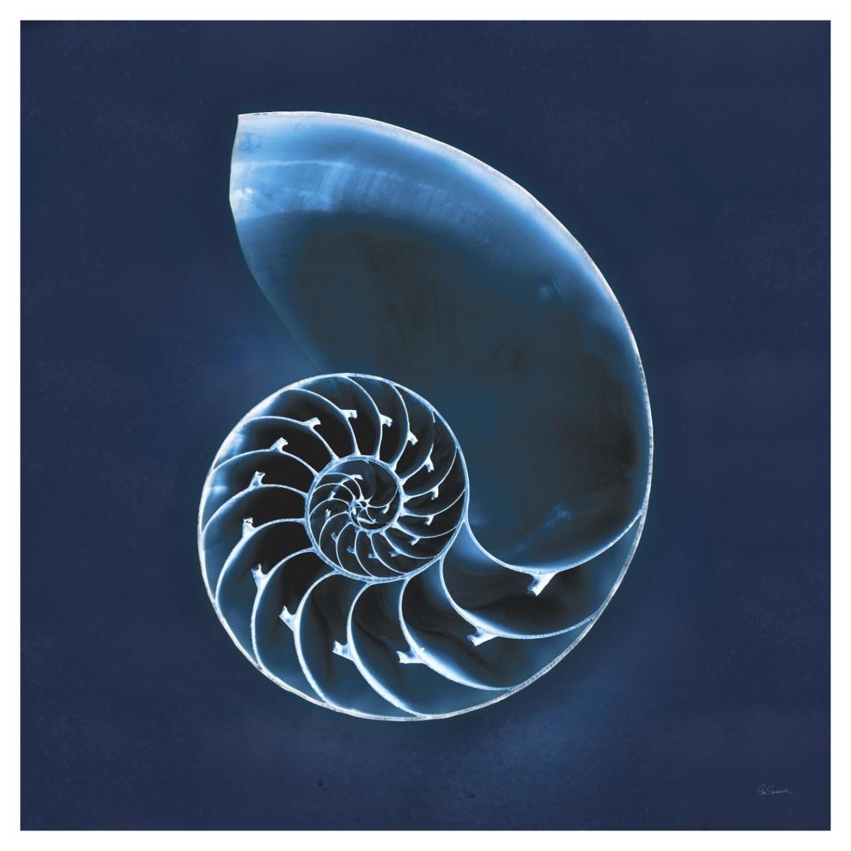 Cyanotype Sea II -Paper Art-42"x42"