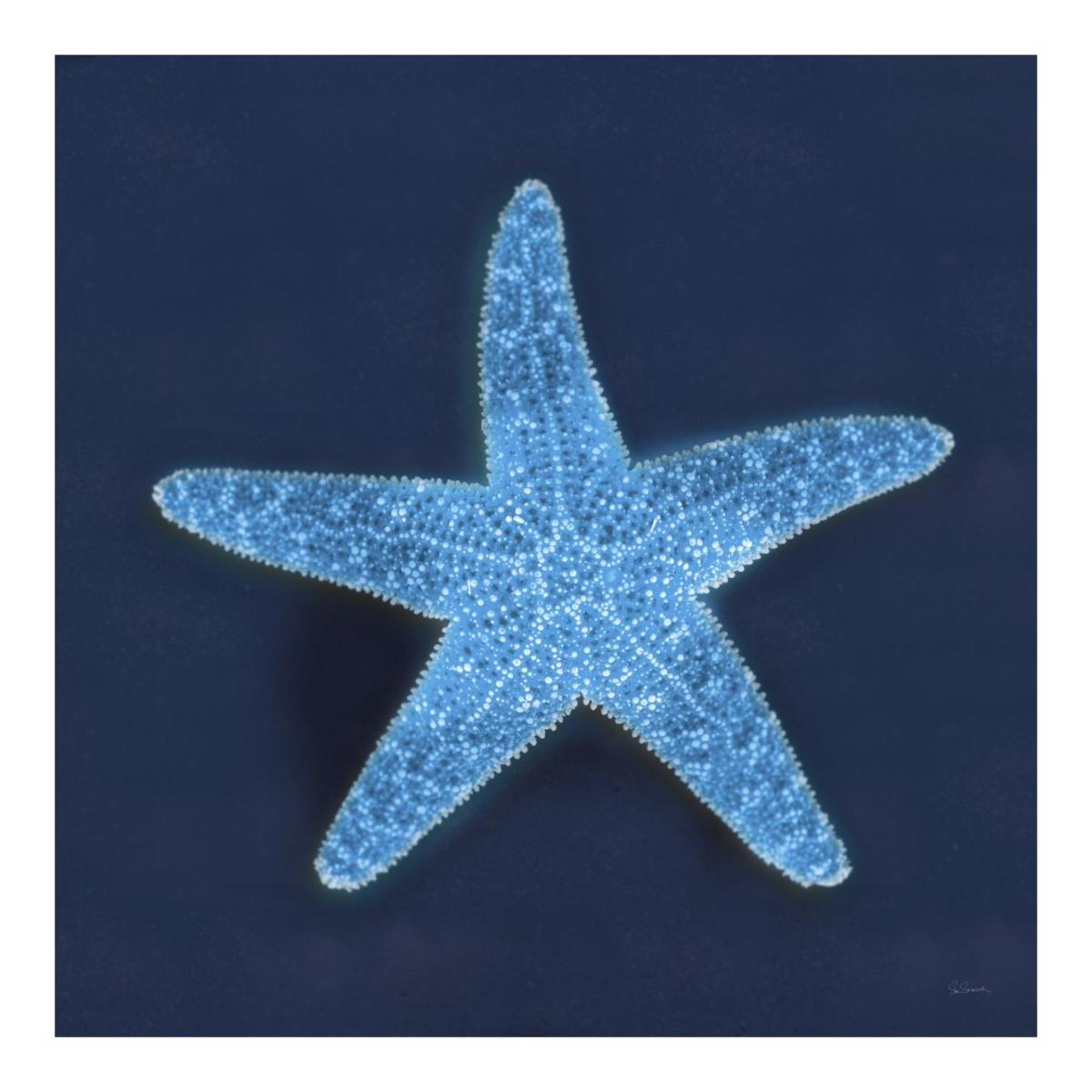 Cyanotype Sea III -Paper Art-20"x20"