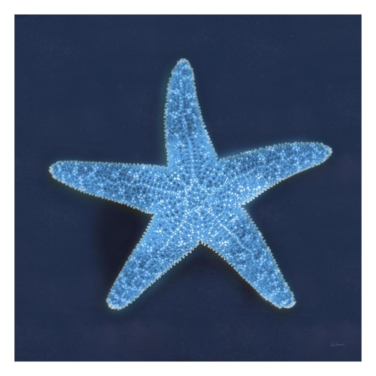 Cyanotype Sea III -Paper Art-26"x26"