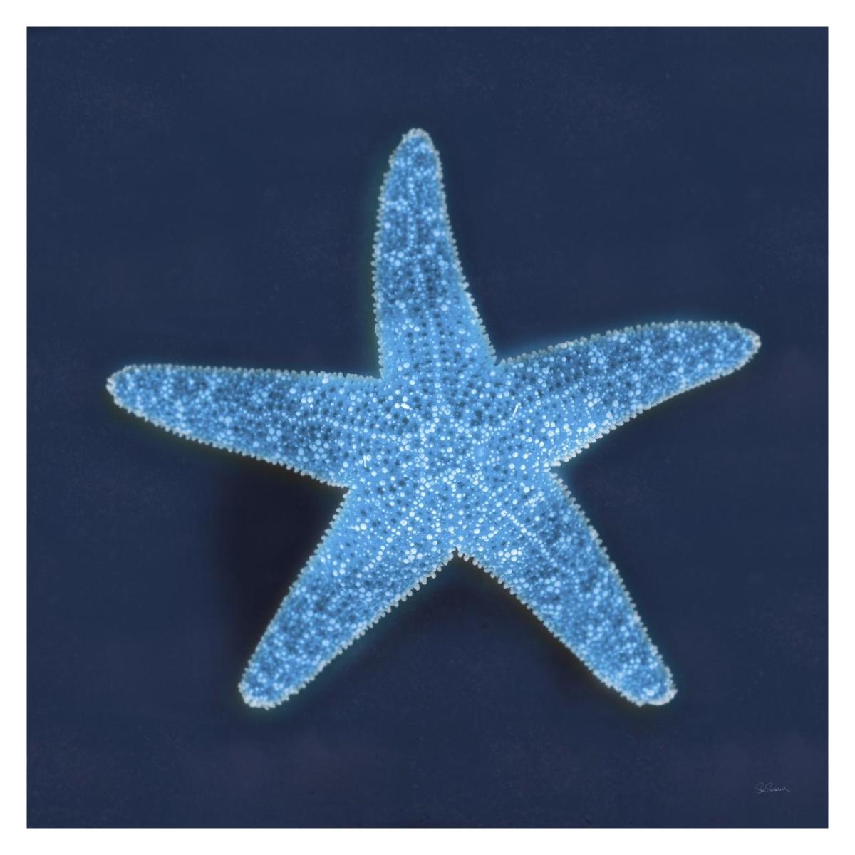 Cyanotype Sea III -Paper Art-32"x32"