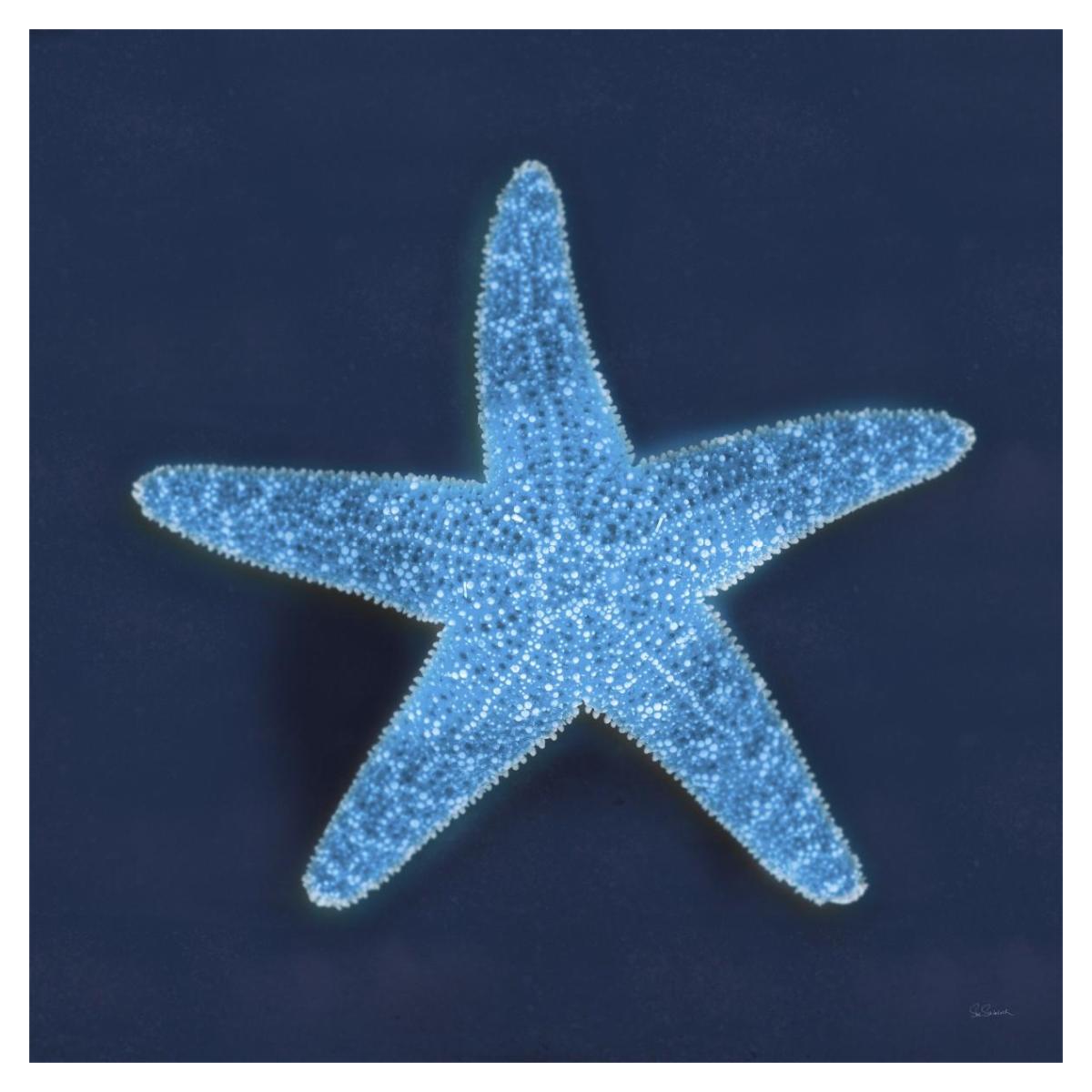 Cyanotype Sea III -Paper Art-38"x38"