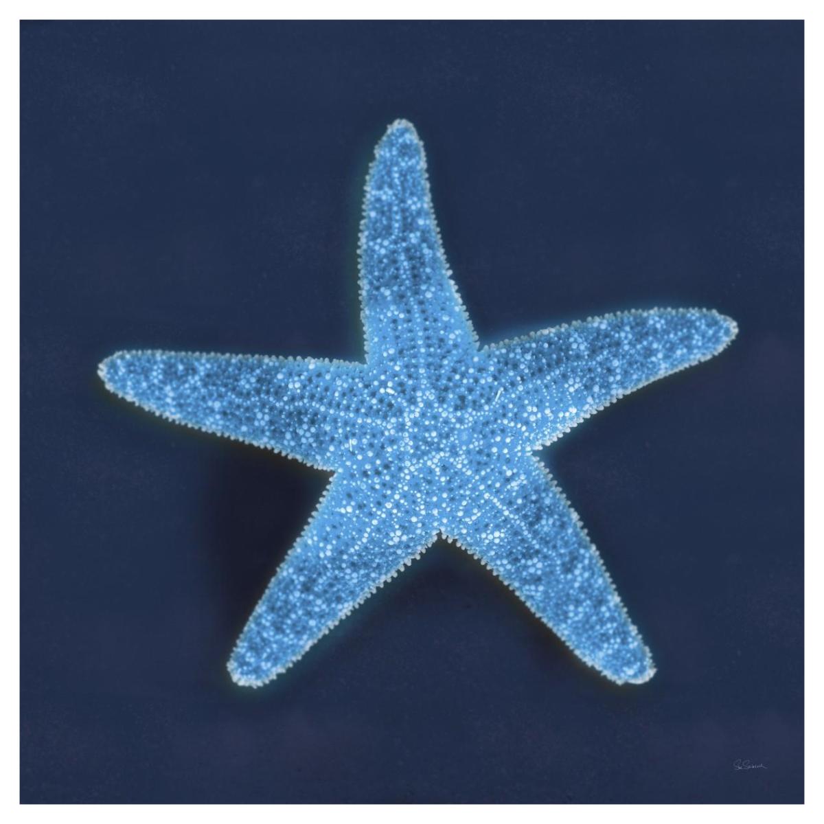 Cyanotype Sea III -Paper Art-42"x42"