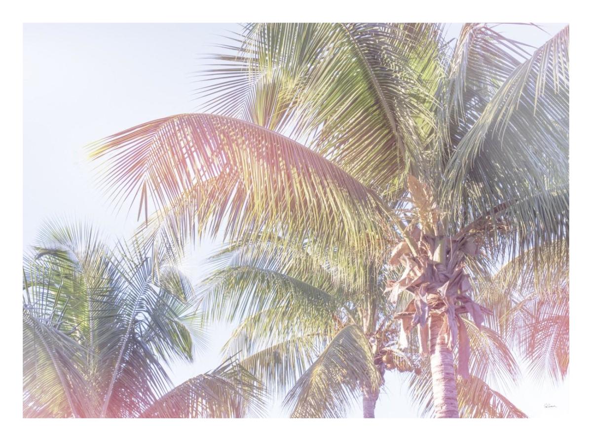 Dream Palm I -Paper Art-26"x20"