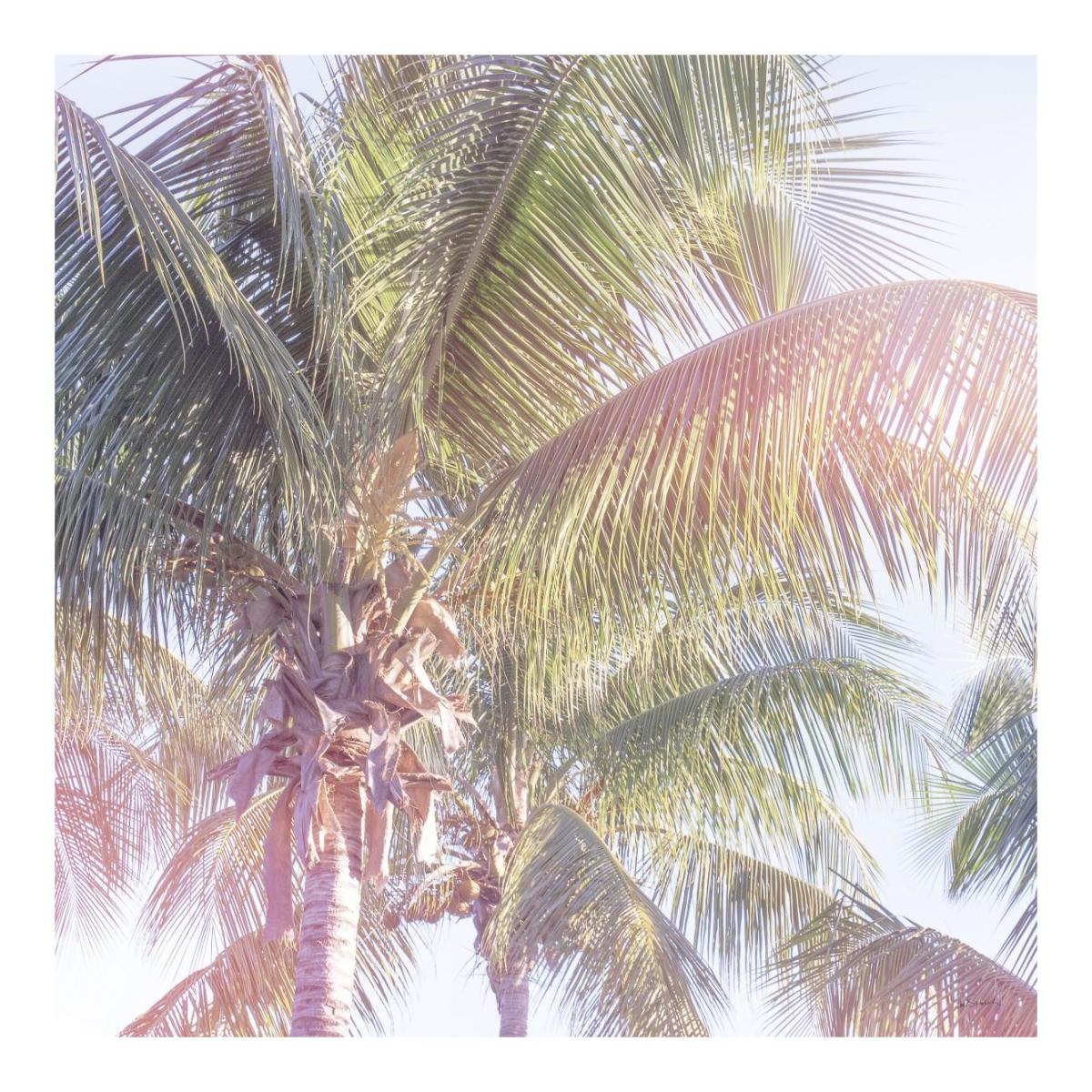 Dream Palm II -Paper Art-20"x20"