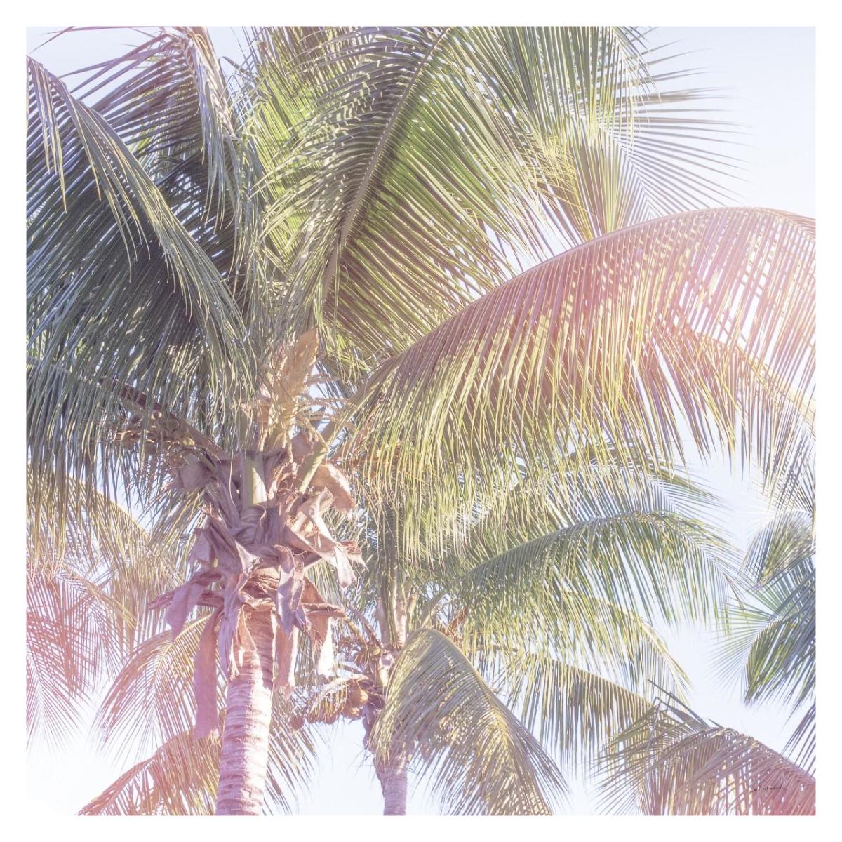 Dream Palm II -Paper Art-32"x32"