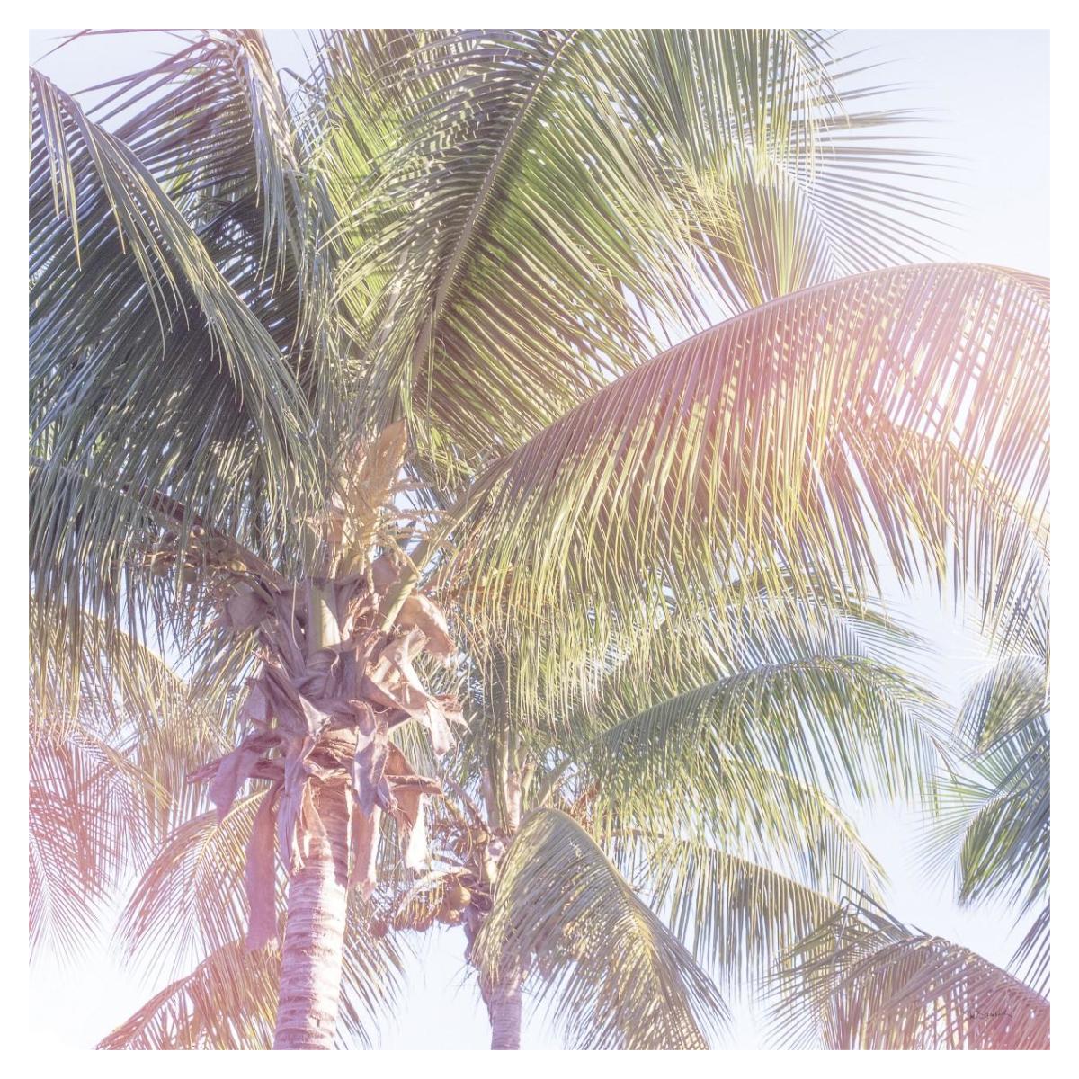 Dream Palm II -Paper Art-38"x38"