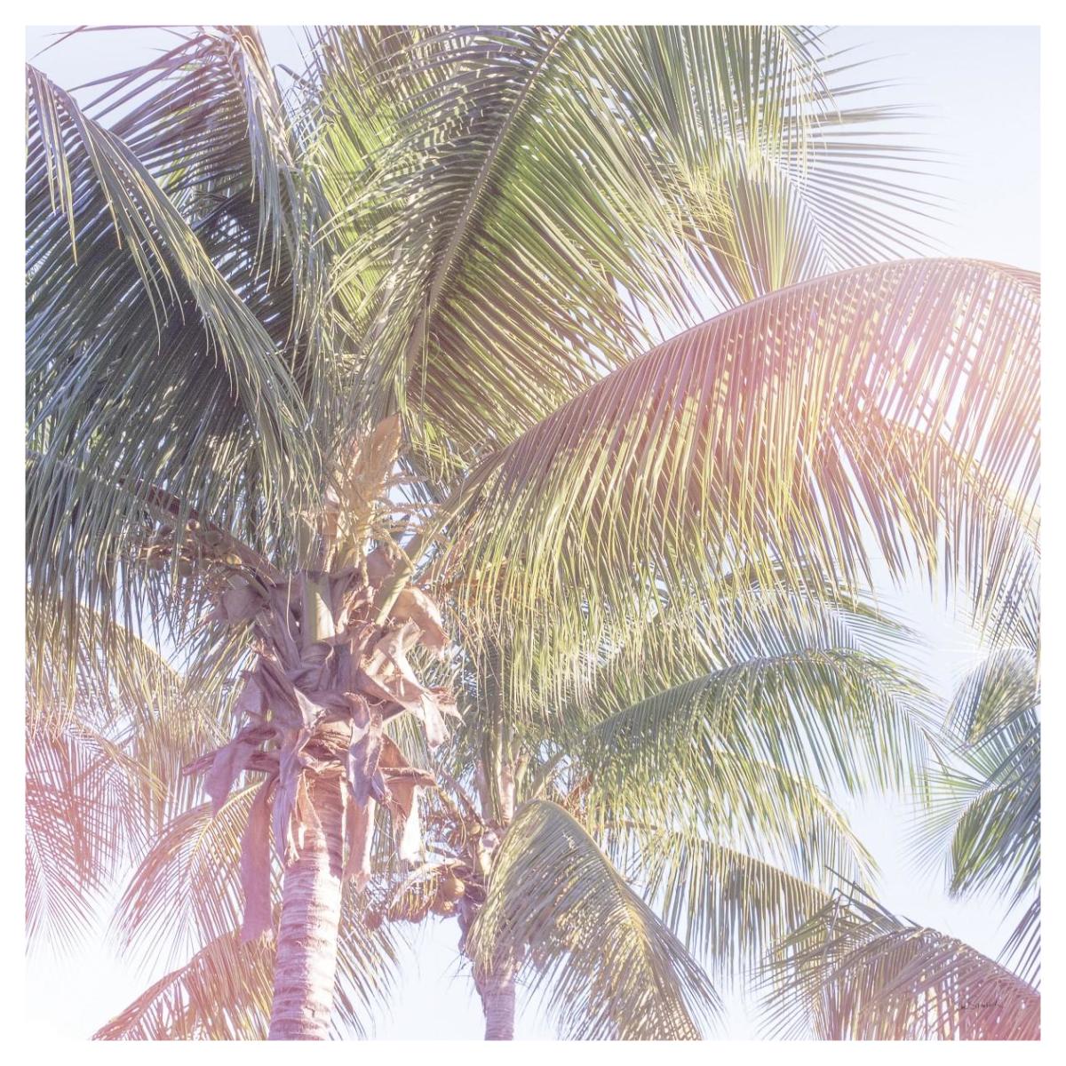 Dream Palm II -Paper Art-42"x42"
